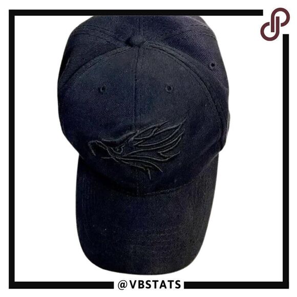 Black on Black Logo Ball Cap - Picture 1 of 4